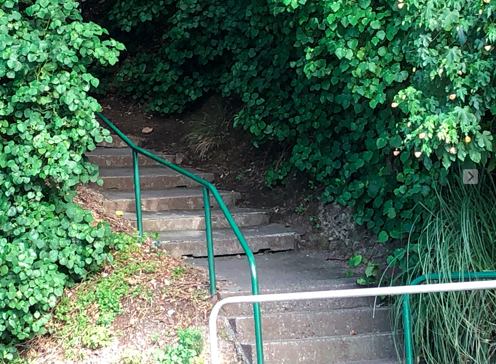 Screen Shot 2019-05-09 at 9.23.46 PM