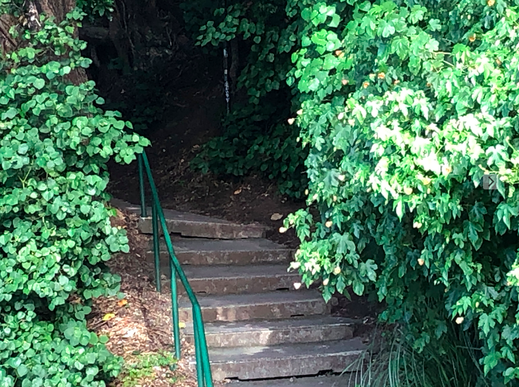 Screen Shot 2019-05-09 at 9.23.54 PM