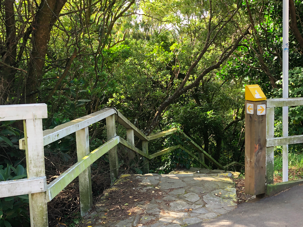 Screen Shot 2019-05-09 at 9.26.17 PM