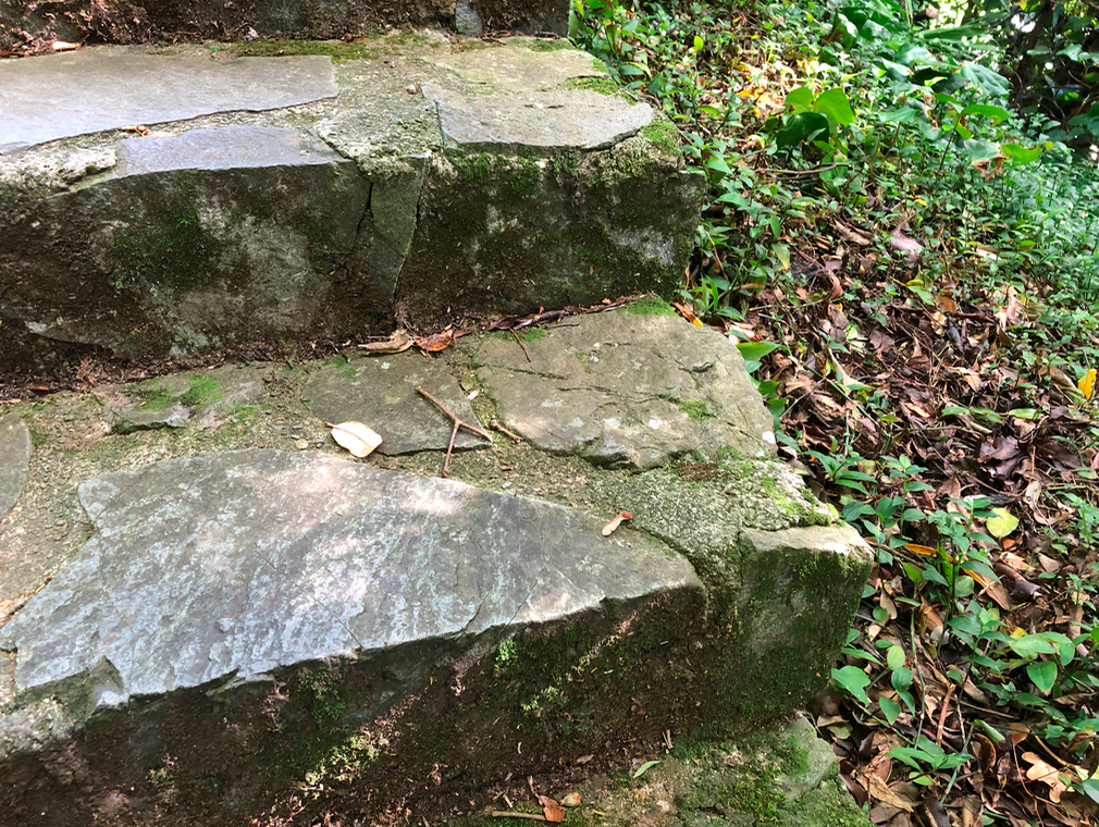 Screen Shot 2019-05-09 at 9.26.48 PM