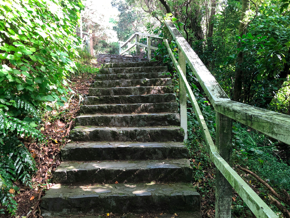 Screen Shot 2019-05-09 at 9.26.58 PM