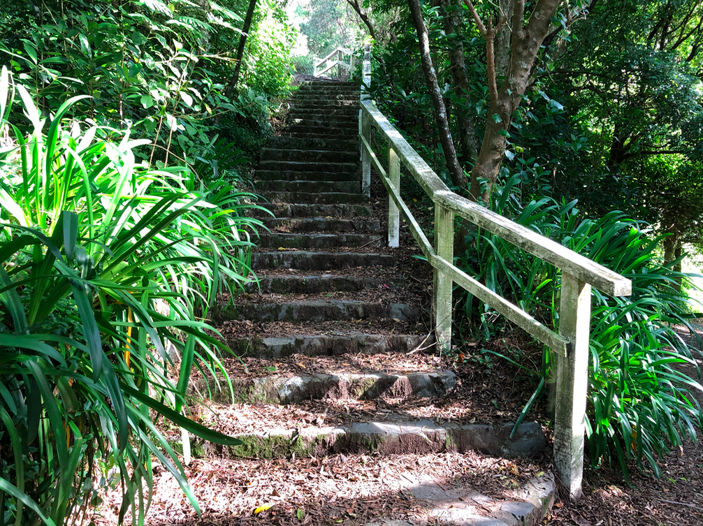 Screen Shot 2019-05-09 at 9.27.47 PM