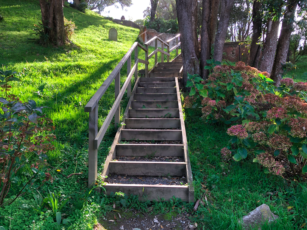 Screen Shot 2019-05-10 at 12.26.54 AM