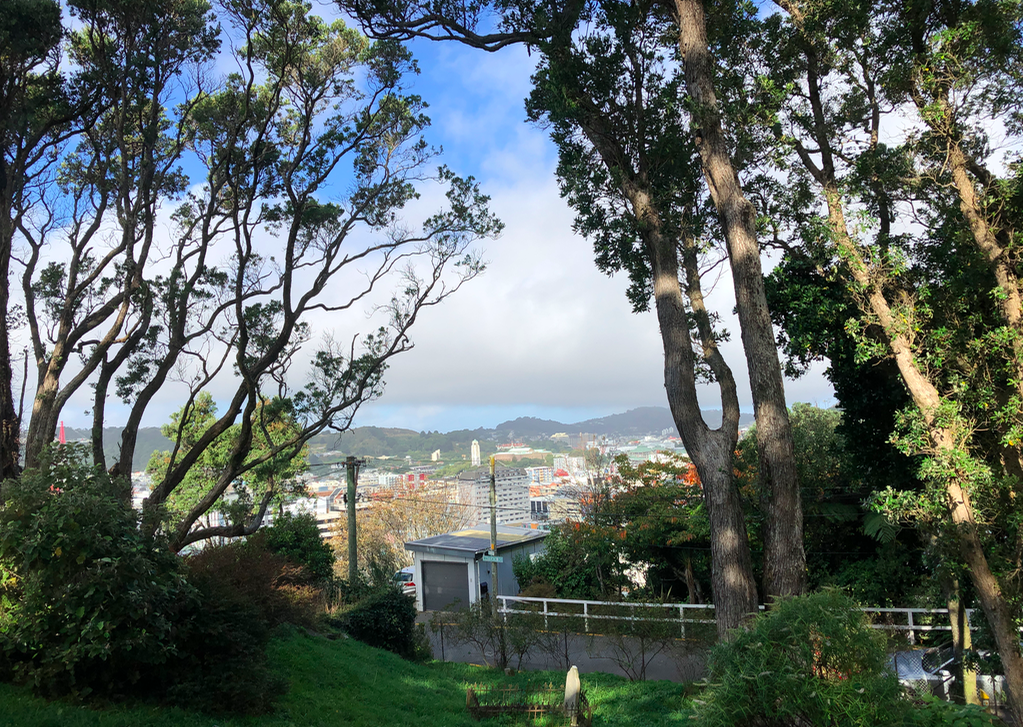 Screen Shot 2019-05-10 at 12.27.22 AM