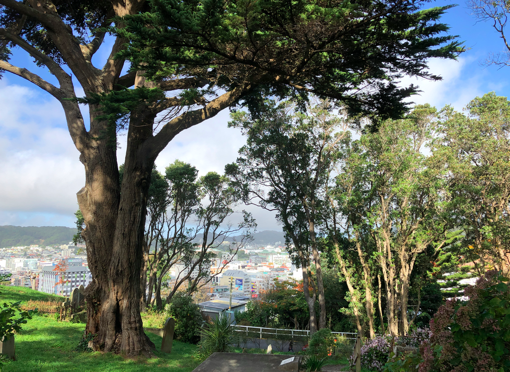 Screen Shot 2019-05-10 at 12.27.33 AM