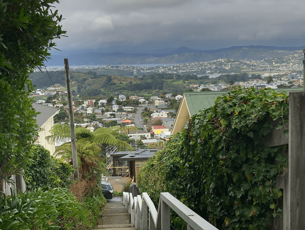 Screen Shot 2019-05-11 at 5.24.48 PM