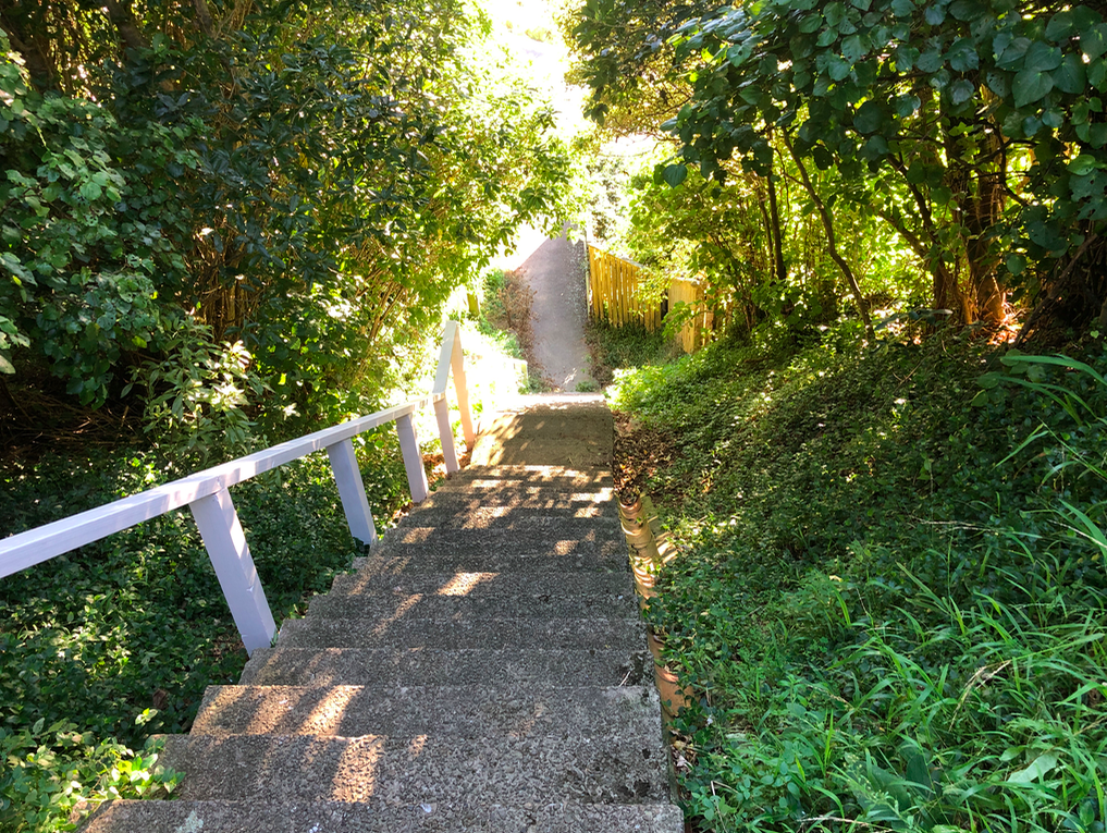 Screen Shot 2019-05-12 at 11.09.19 PM