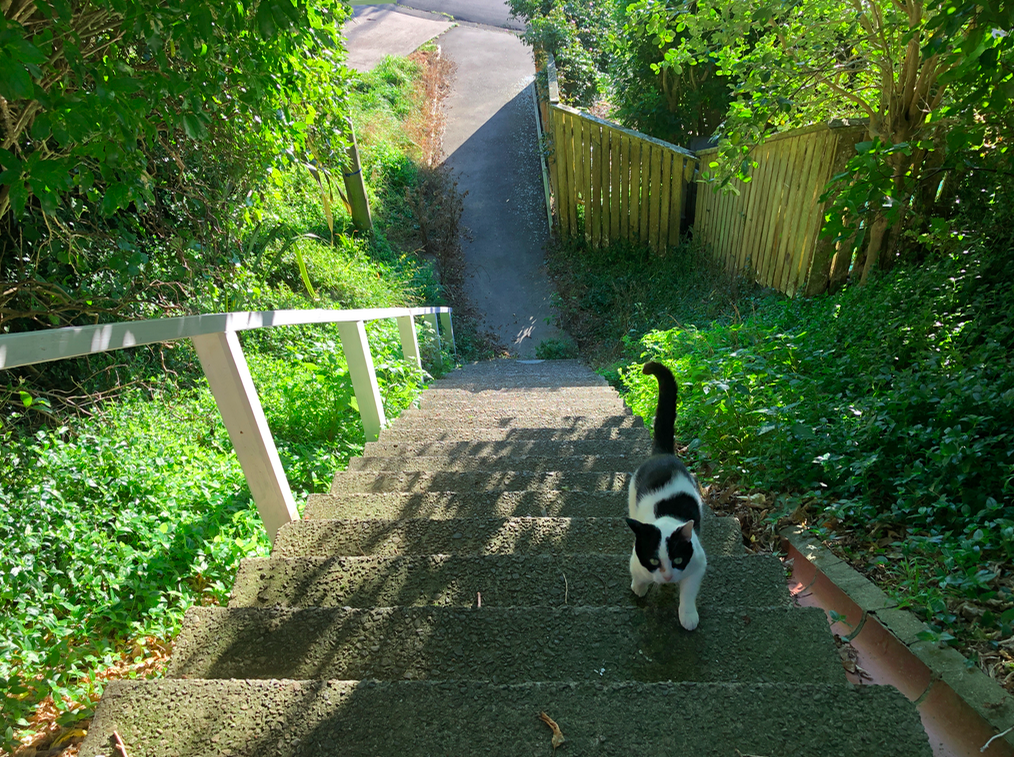 Screen Shot 2019-05-12 at 11.10.19 PM