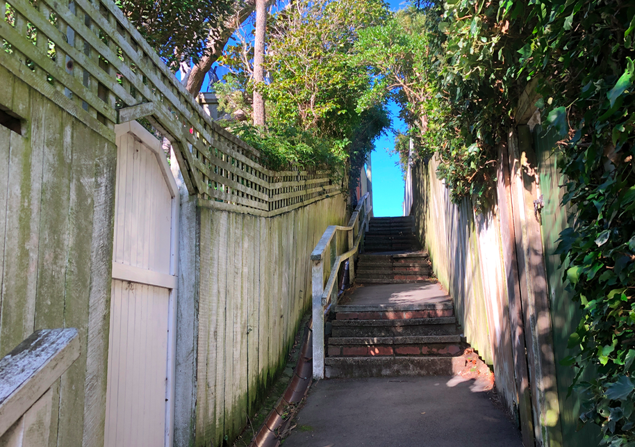 Screen Shot 2019-05-12 at 8.50.19 PM