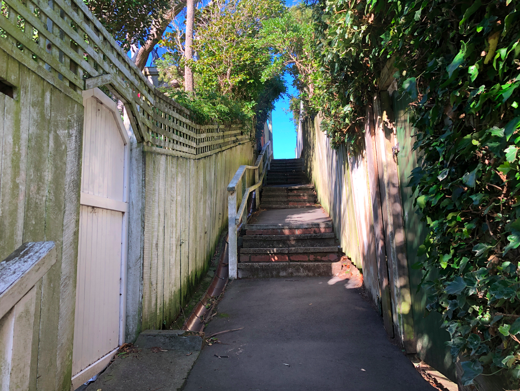 Screen Shot 2019-05-12 at 8.50.26 PM