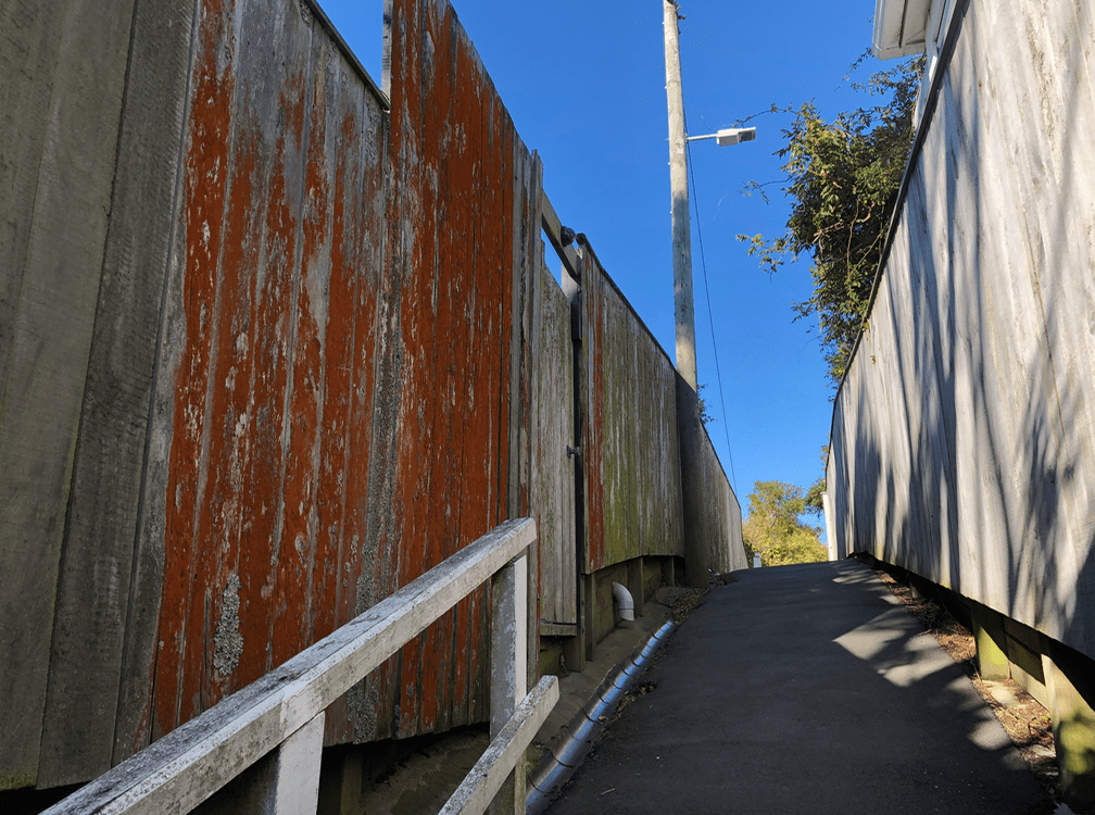 Screen Shot 2019-05-12 at 8.50.36 PM