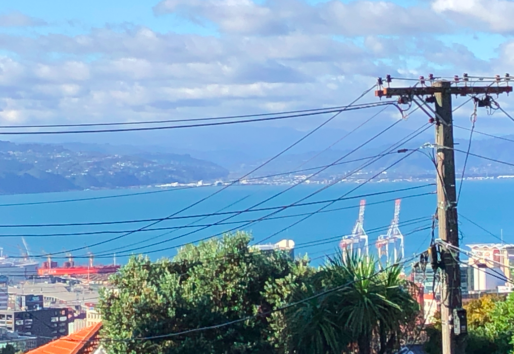 Screen Shot 2019-05-12 at 8.51.33 PM