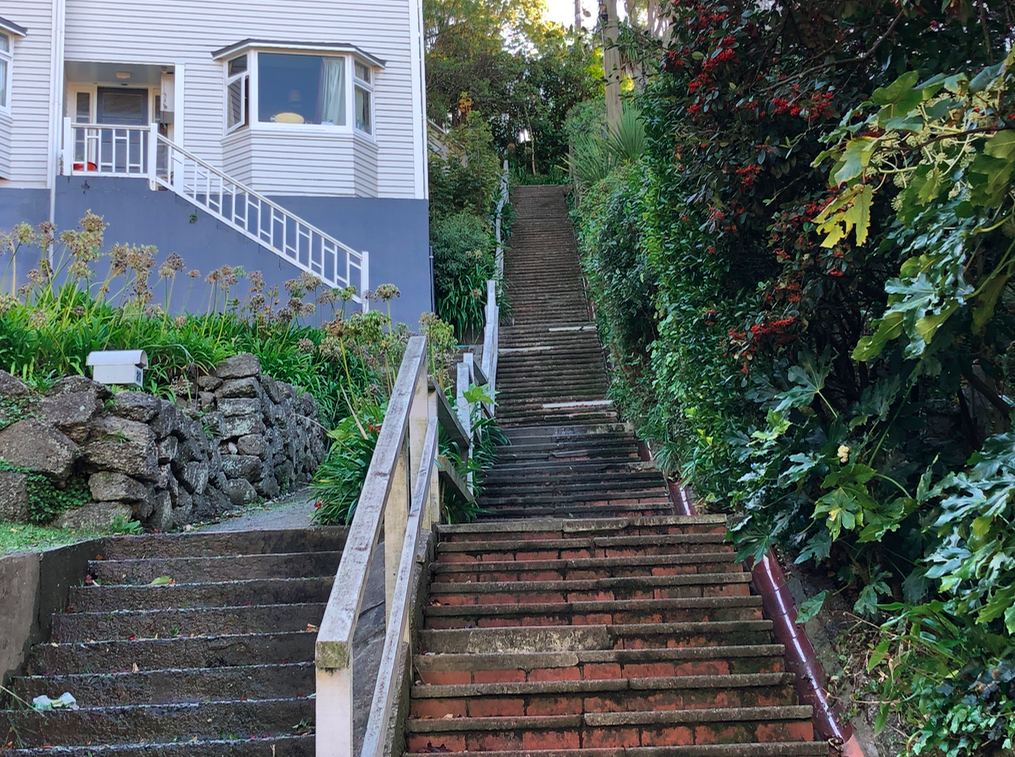 Screen Shot 2019-05-12 at 9.00.35 PM