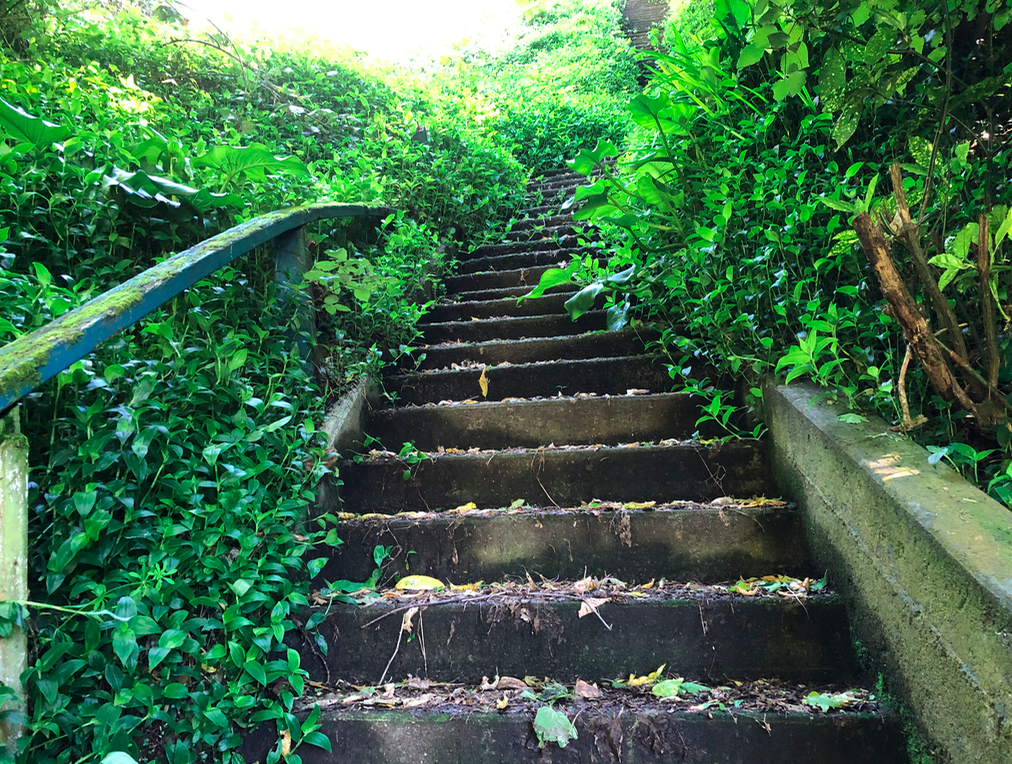 Screen Shot 2019-10-26 at 2.27.10 PM