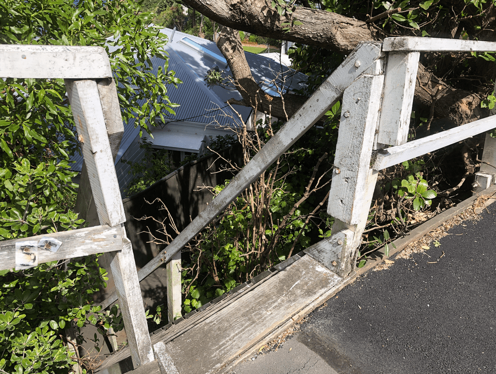 Screen Shot 2019-11-11 at 1.44.19 PM