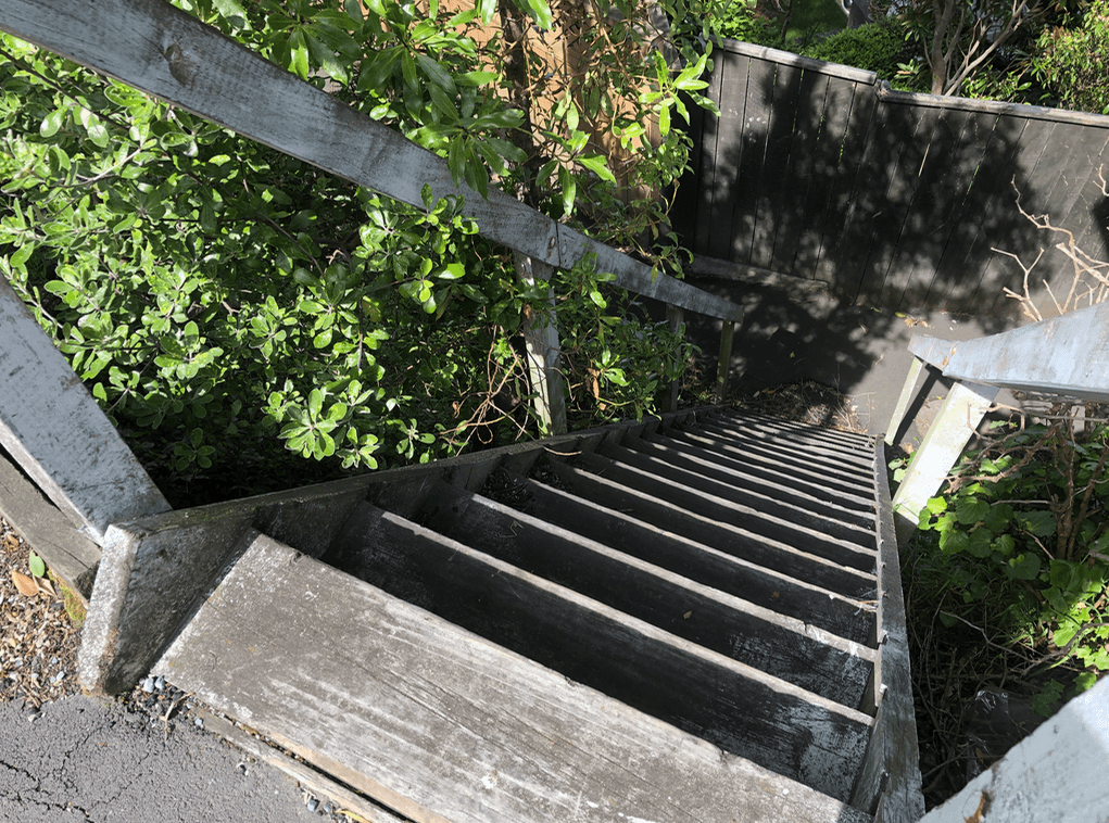 Screen Shot 2019-11-11 at 1.44.33 PM