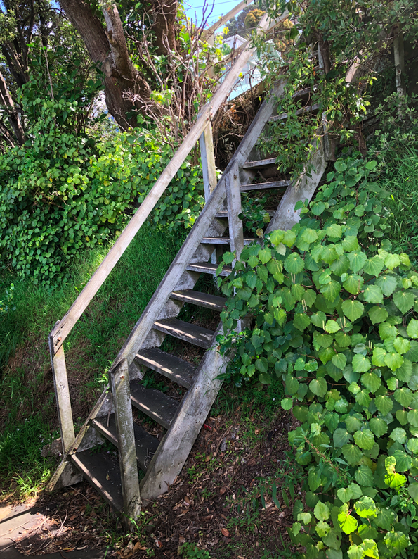 Screen Shot 2019-11-11 at 1.44.47 PM