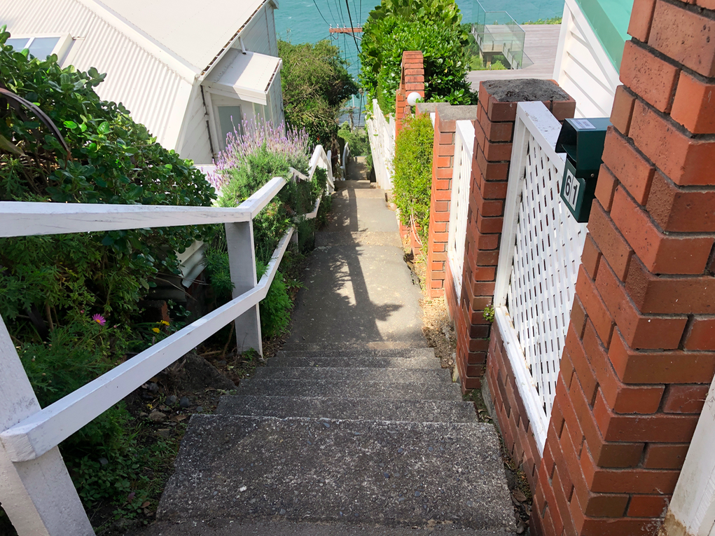 Screen Shot 2019-11-11 at 1.45.27 PM