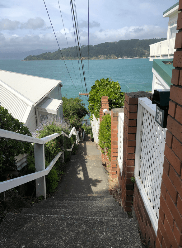 Screen Shot 2019-11-11 at 1.45.53 PM