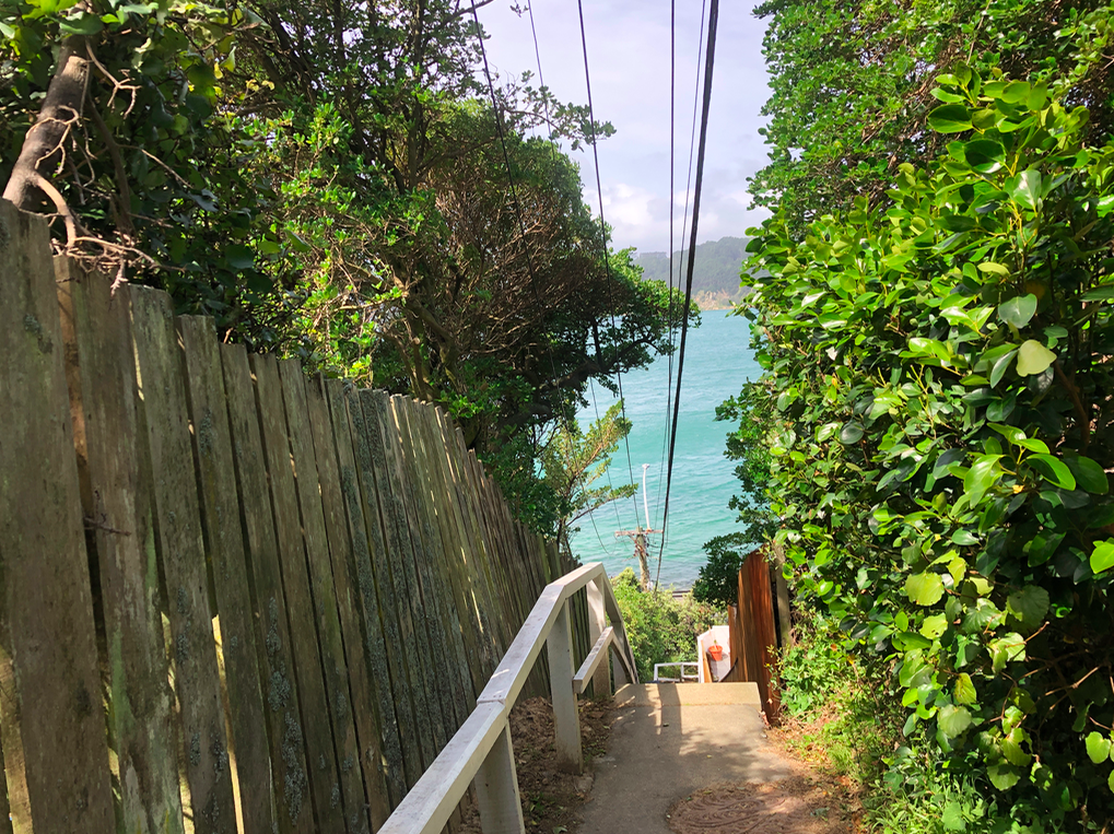 Screen Shot 2019-11-11 at 1.46.11 PM