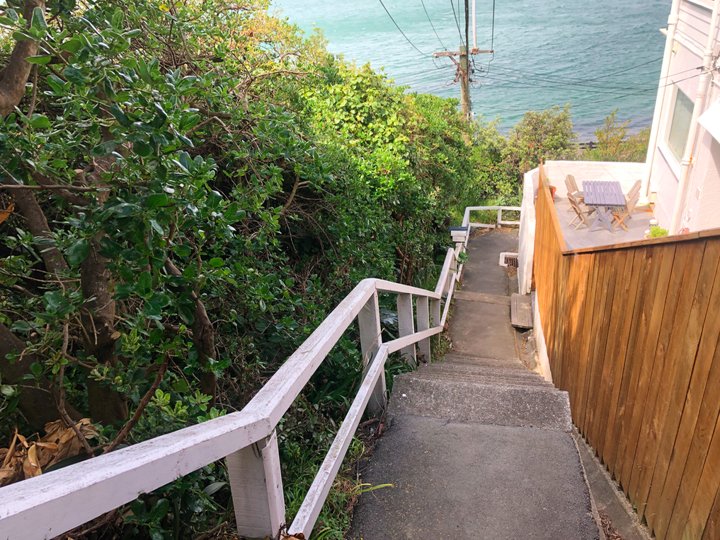 Screen Shot 2019-11-11 at 1.46.25 PM