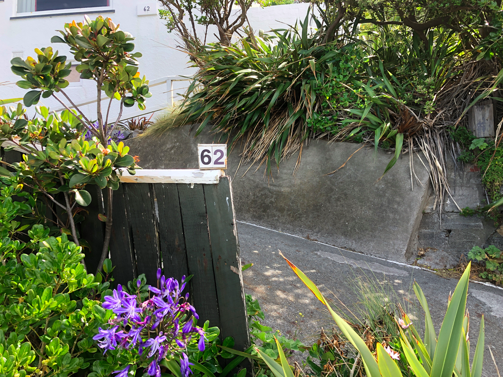 Screen Shot 2019-11-11 at 1.46.37 PM