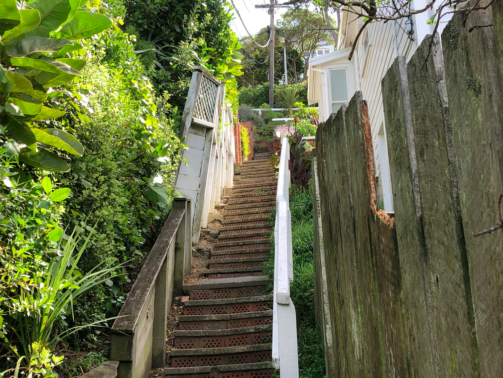 Screen Shot 2019-11-11 at 1.47.58 PM