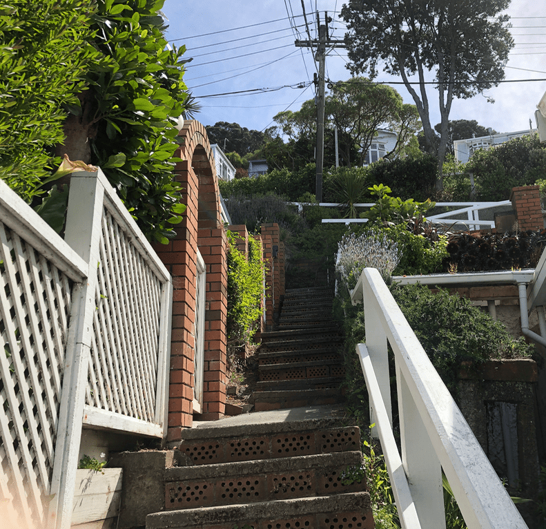 Screen Shot 2019-11-11 at 1.48.34 PM