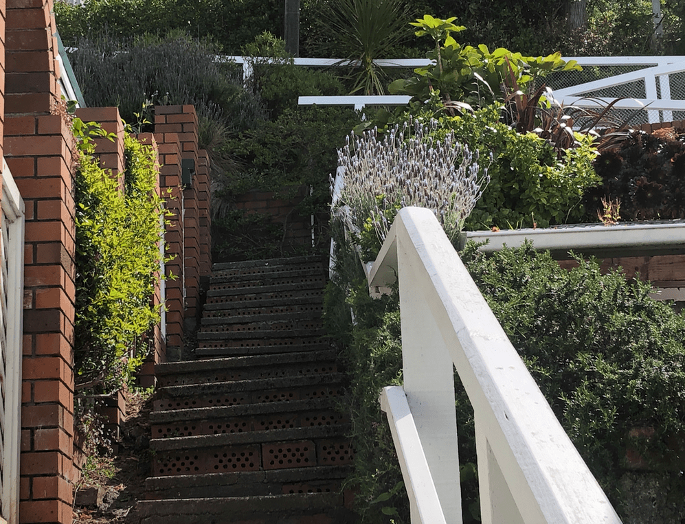 Screen Shot 2019-11-11 at 1.48.54 PM