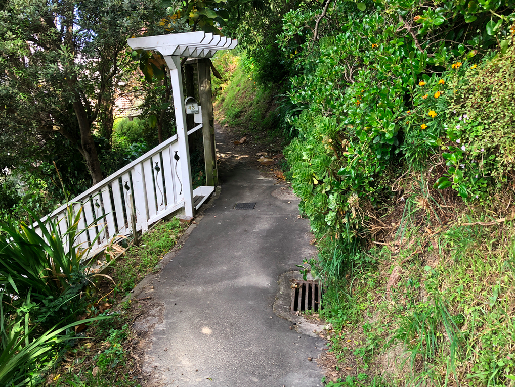 Screen Shot 2019-11-11 at 1.49.51 PM