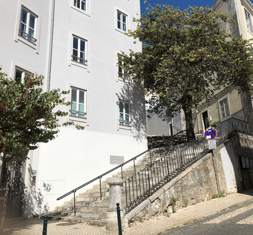 Screen Shot 2019-11-11 at 3.23.05 PM