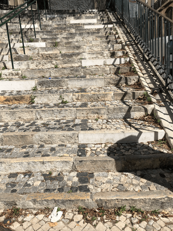 Screen Shot 2019-11-11 at 3.23.46 PM