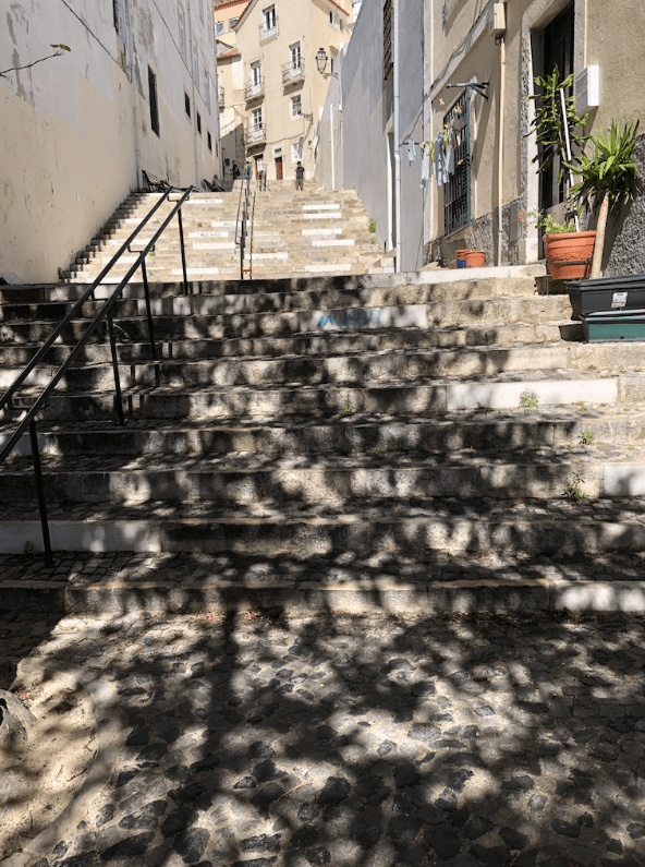 Screen Shot 2019-11-11 at 3.24.11 PM