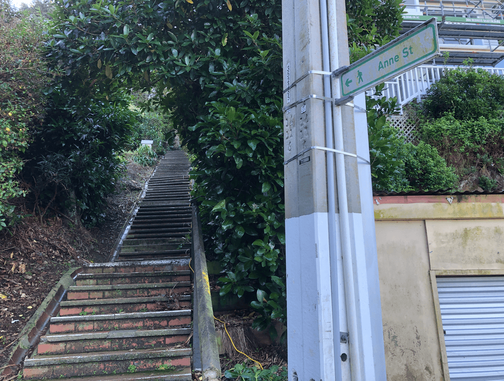 Screen Shot 2020-06-25 at 1.13.28 PM