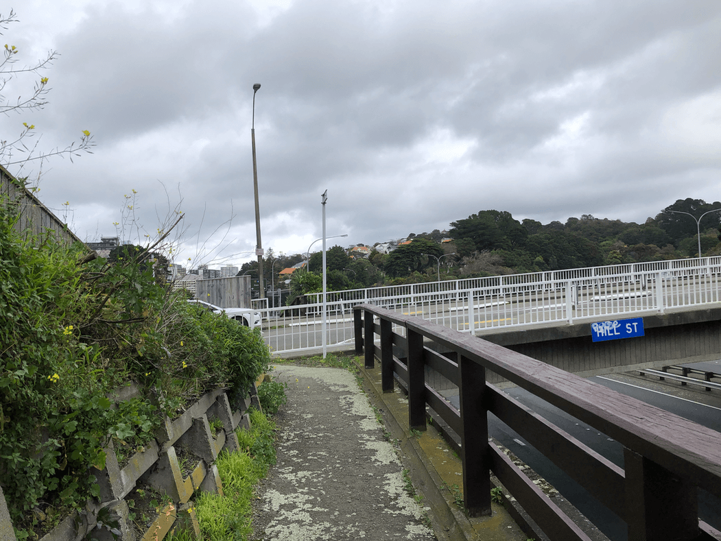 Screen Shot 2020-07-16 at 12.55.26 PM