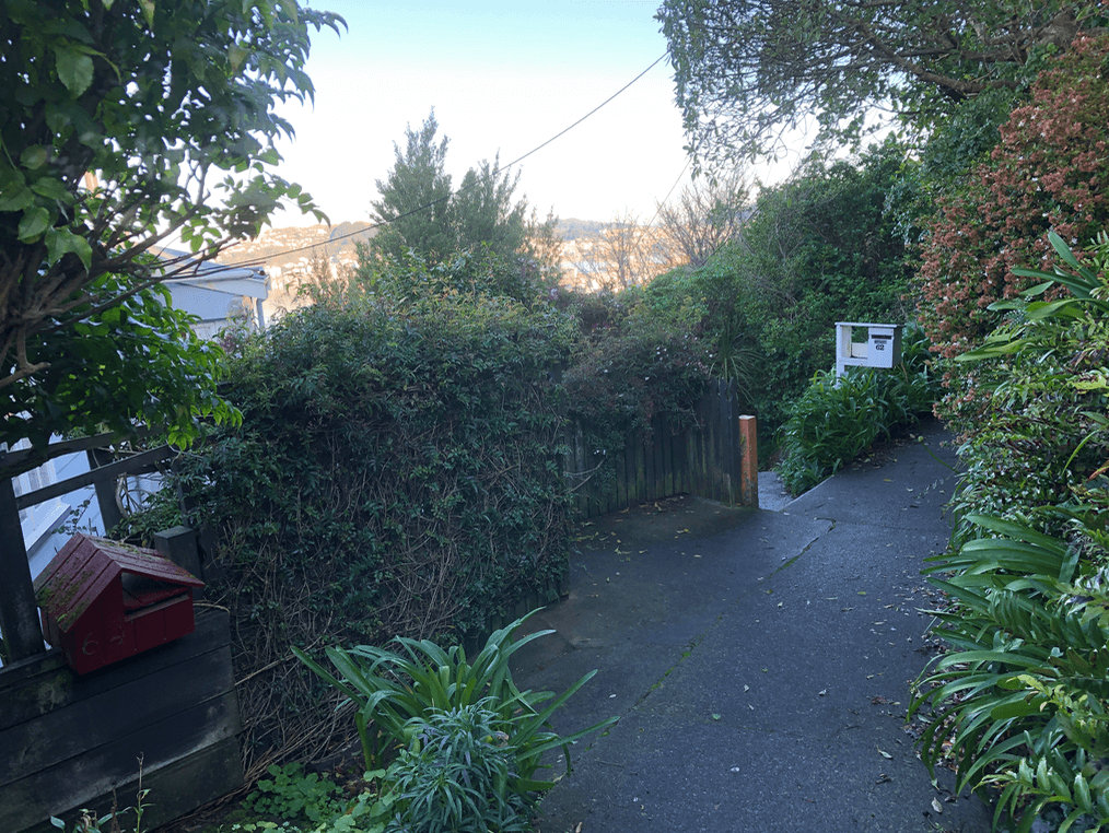 Screen Shot 2020-06-25 at 1.49.18 PM