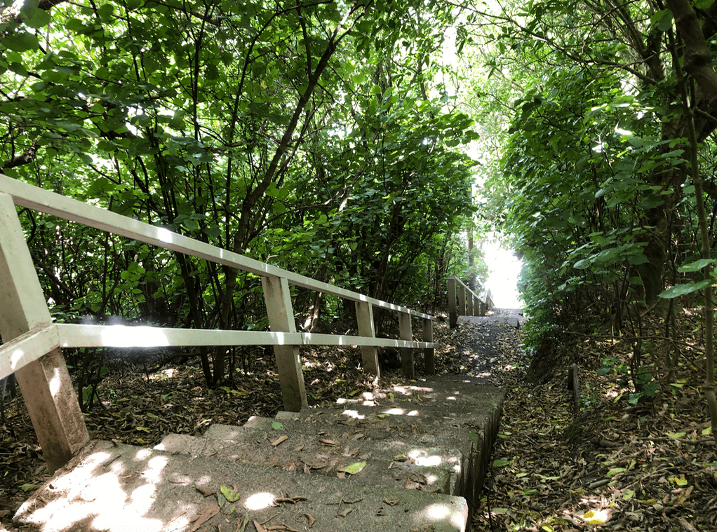 Screen Shot 2019-11-22 at 12.48.27 PM