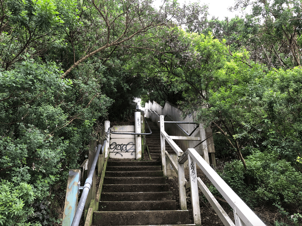 Screen Shot 2020-08-05 at 10.35.18 PM