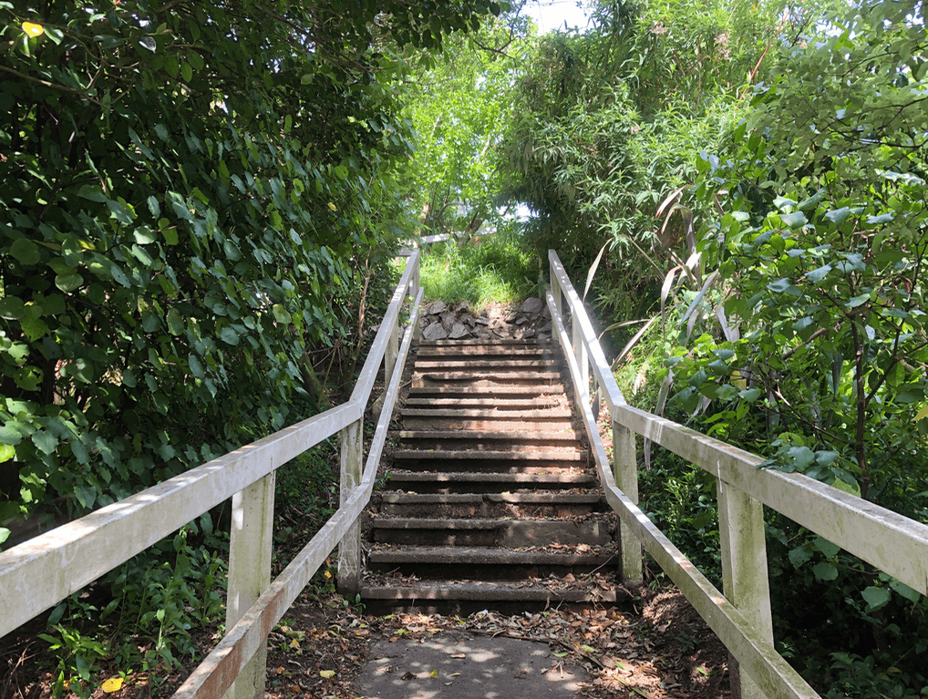 Screen Shot 2020-01-01 at 5.26.33 PM