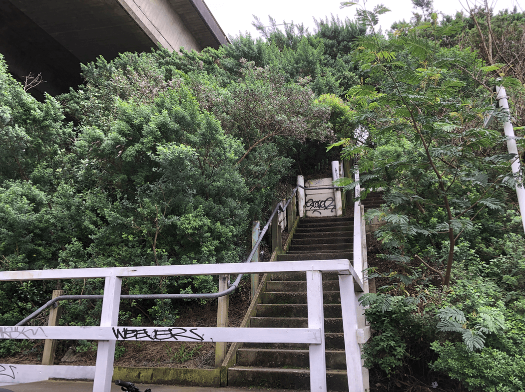 Screen Shot 2020-08-05 at 10.36.02 PM