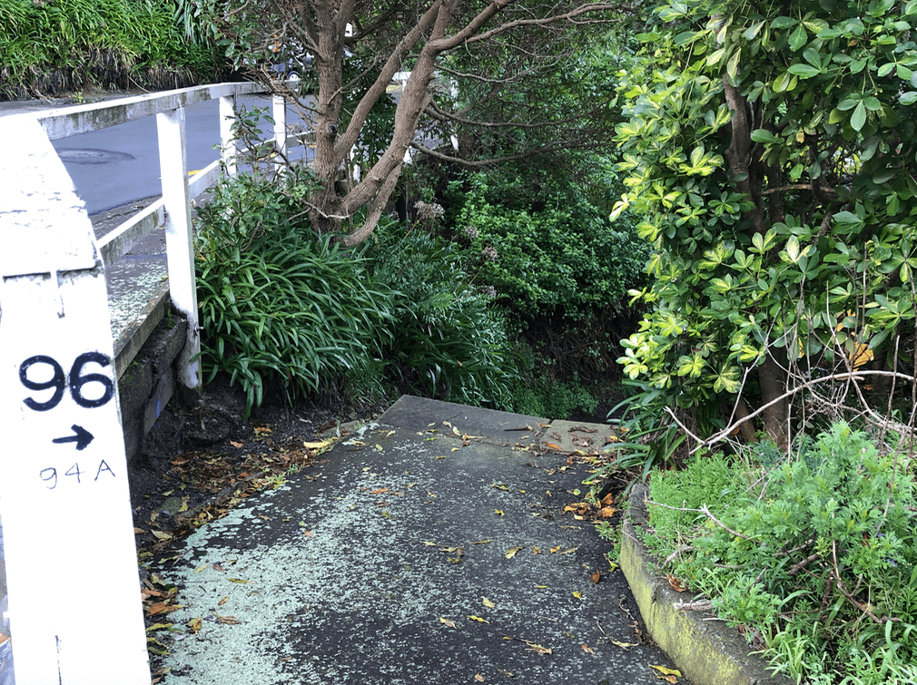 Screen Shot 2020-06-25 at 1.12.49 PM