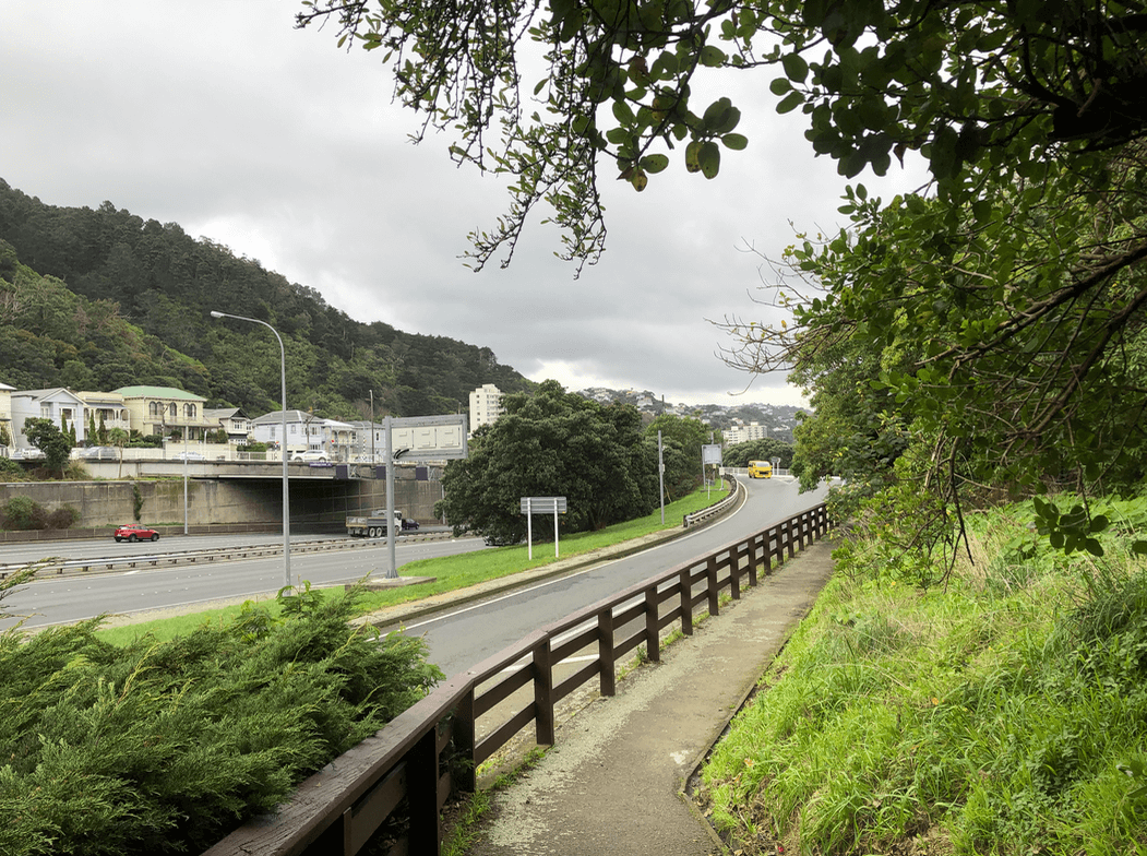 Screen Shot 2020-07-16 at 12.53.56 PM