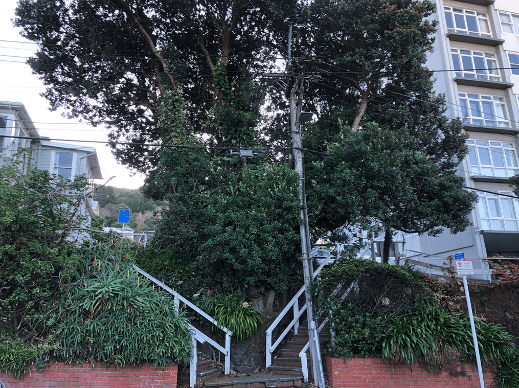 Screen Shot 2020-06-15 at 3.12.00 PM