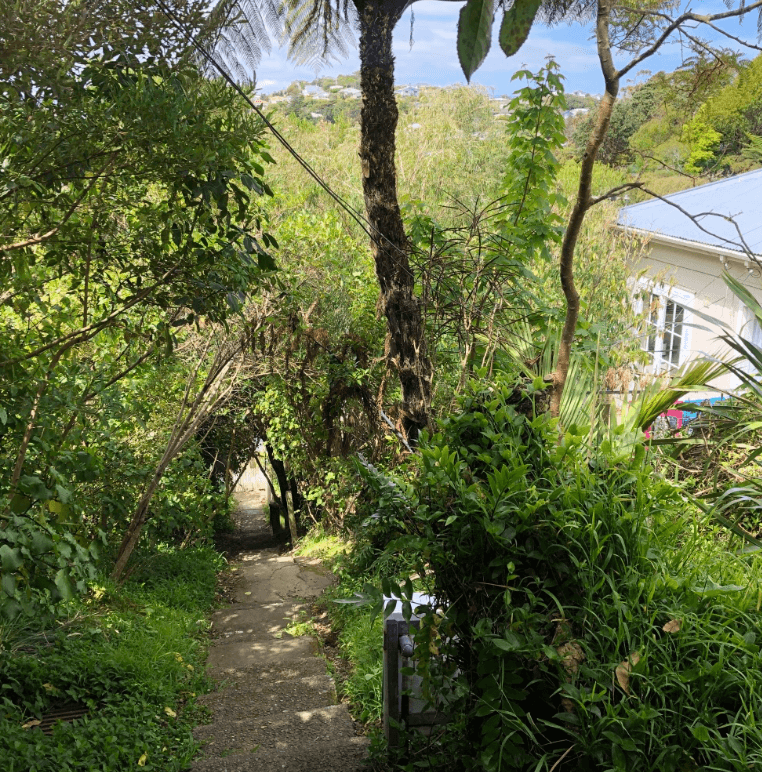 Screen Shot 2020-01-01 at 2.58.17 PM