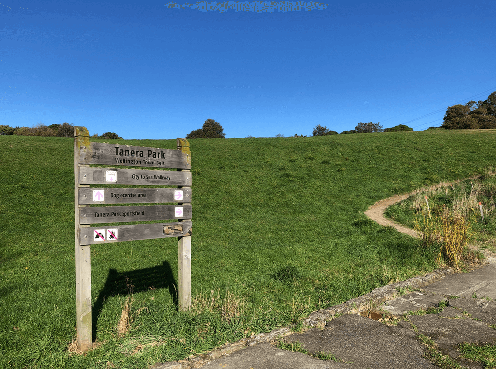 Screen Shot 2020-05-11 at 1.32.48 AM