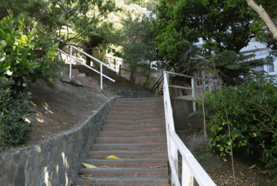 Screen Shot 2020-07-17 at 4.17.19 PM