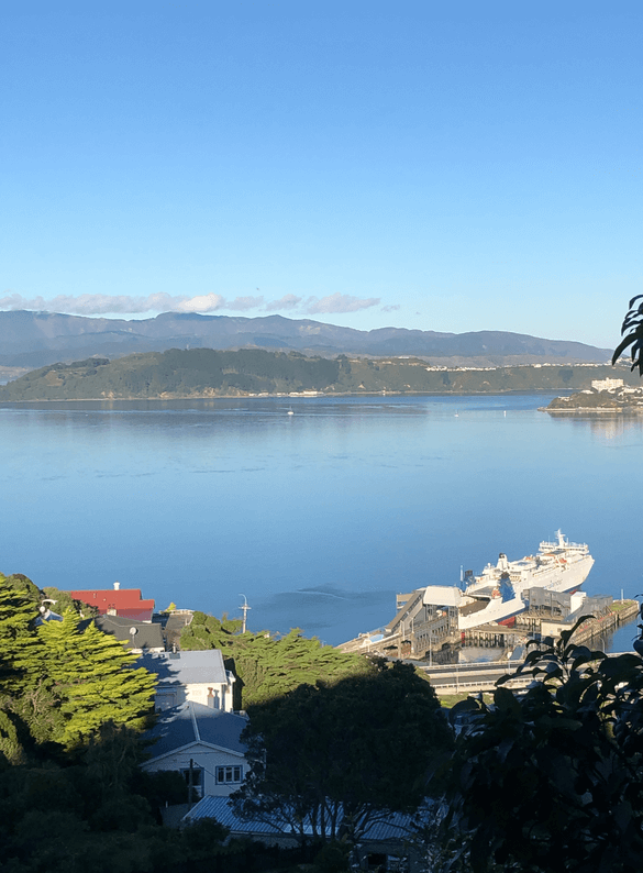 Screen Shot 2020-06-25 at 1.48.53 PM