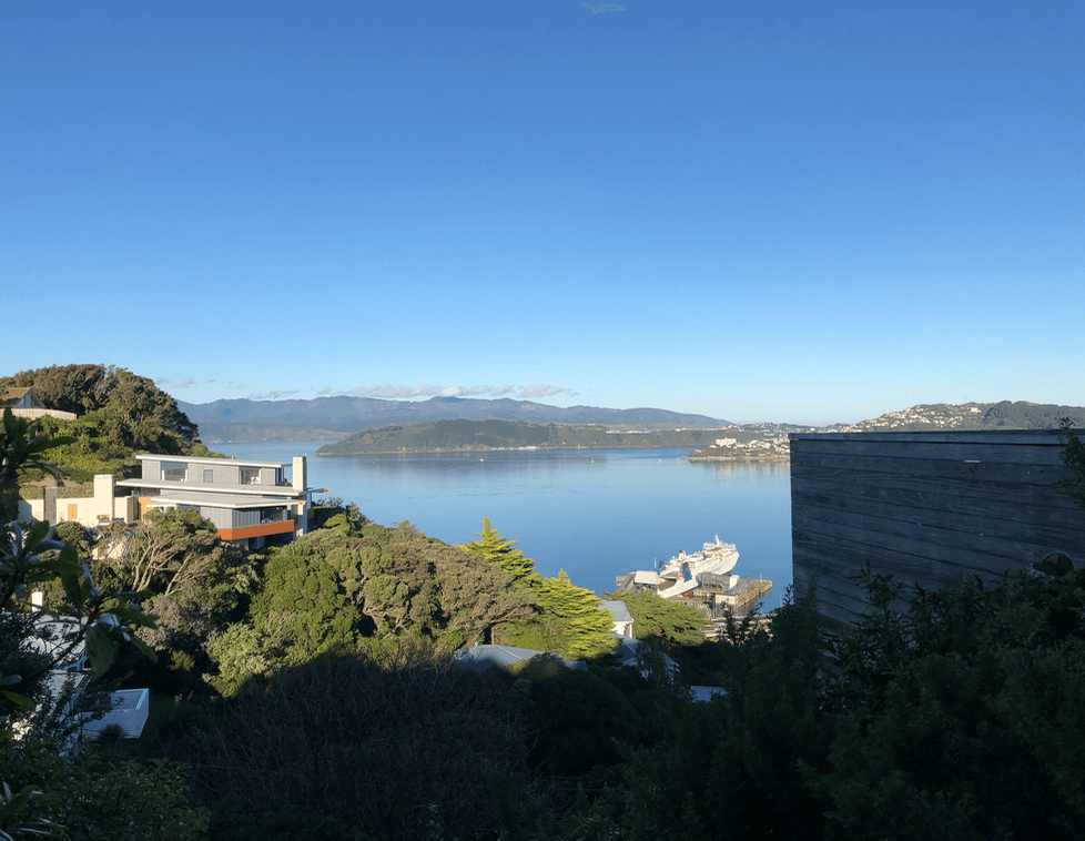 Screen Shot 2020-06-25 at 1.30.25 PM