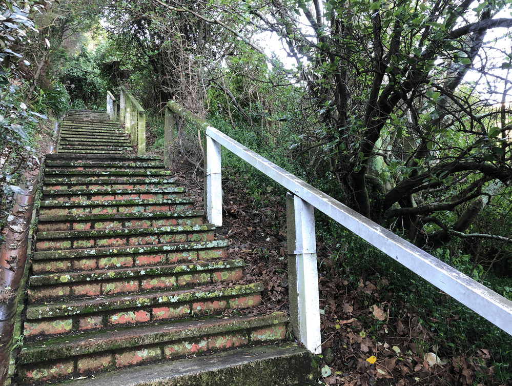 Screen Shot 2020-06-25 at 1.28.50 PM