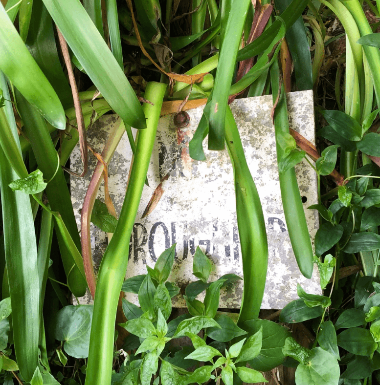 Screen Shot 2020-01-01 at 3.37.24 PM